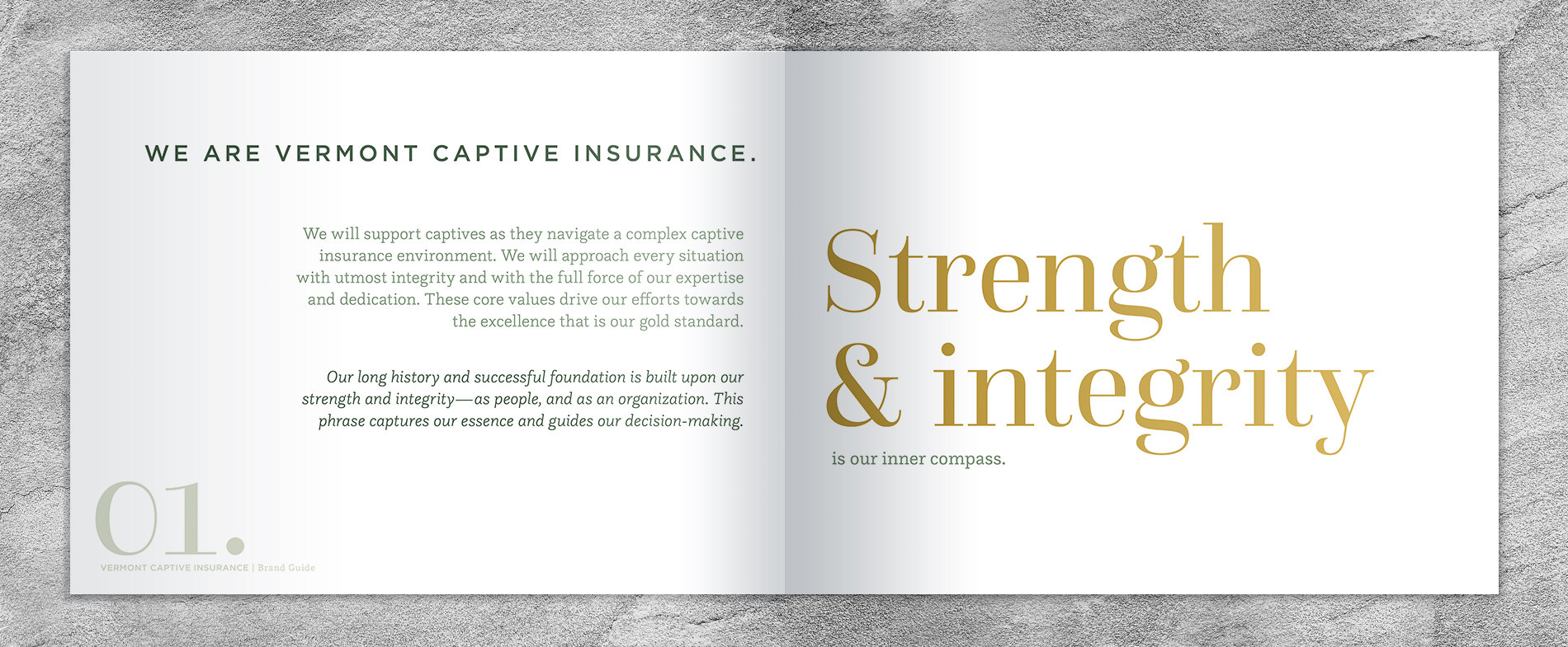 Brand identity book designBrand identity book design for Vermont Captive Insurance